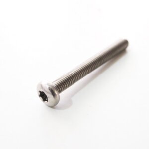 Stainless steal M6 Torx bolt