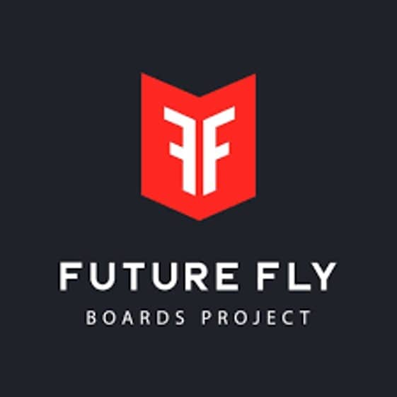 Future Fly logo